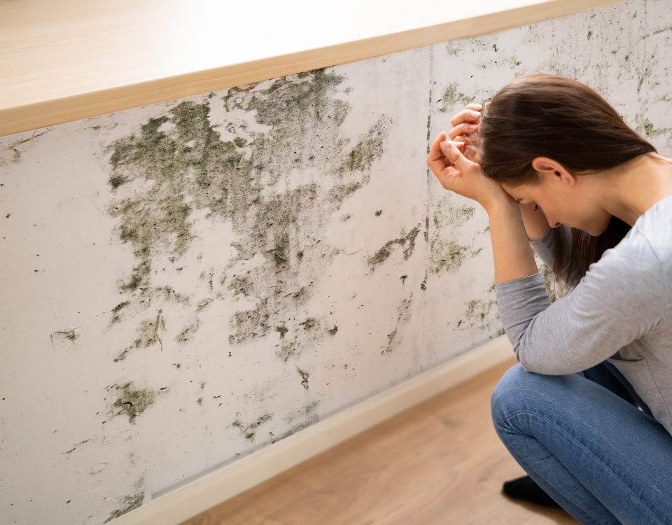 moisissures sur les murs