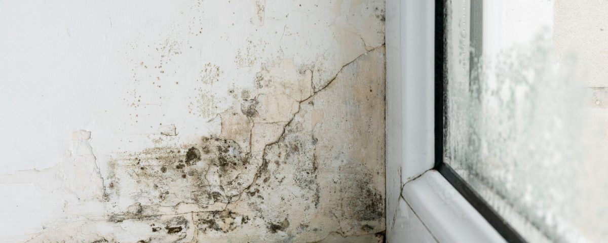 condensation