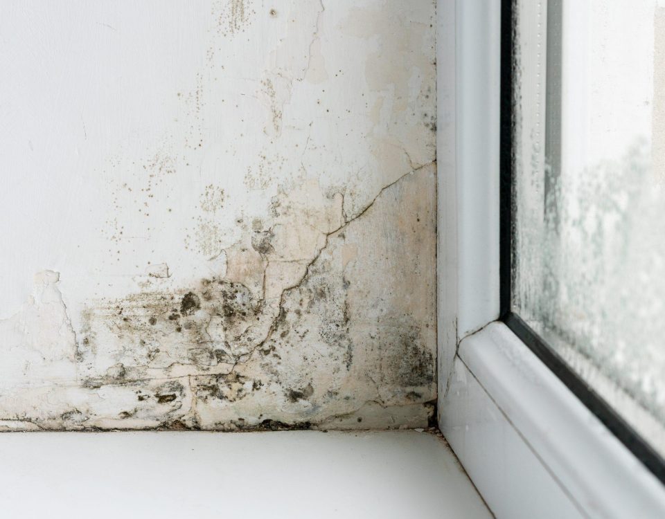 condensation