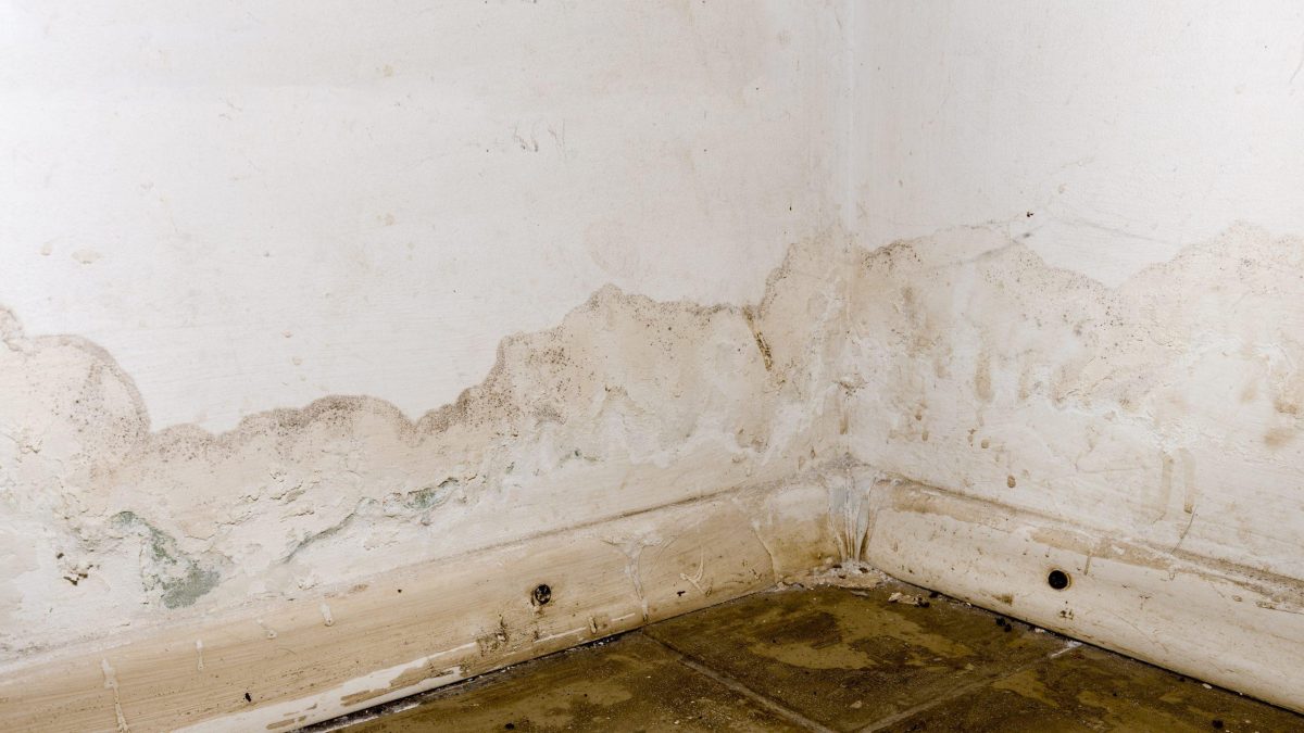 Mur humide malgré une VMC, traces au bas de la maçonnerie
