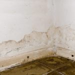 Mur humide malgré une VMC, traces au bas de la maçonnerie