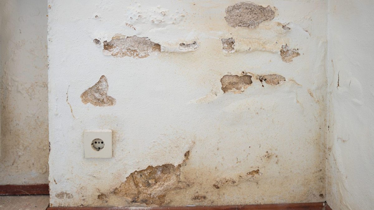 L’humidité revient après des travaux sur un mur à l’enduit dégradé